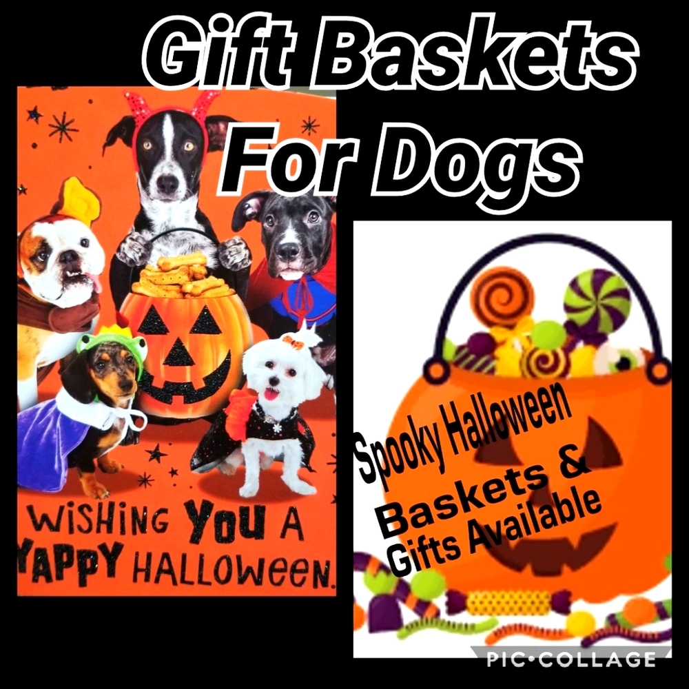 Halloween Dog Gift Treat Basket
